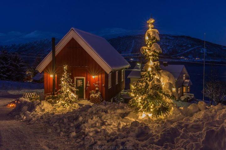 Kraemarvika Lodge Tromso Exterior photo