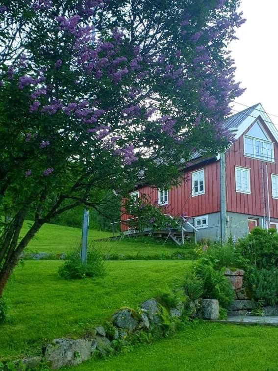 Kraemarvika Lodge Tromso Exterior photo